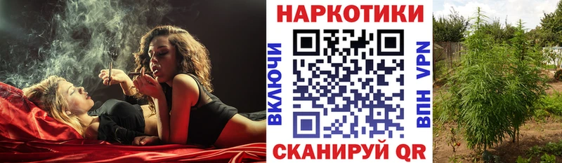 A-PVP Карачев