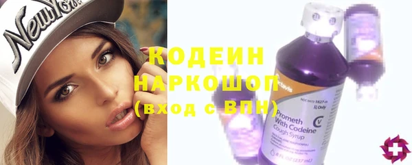 ГАЛЛЮЦИНОГЕННЫЕ ГРИБЫ Лагань