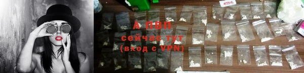ГАЛЛЮЦИНОГЕННЫЕ ГРИБЫ Лагань
