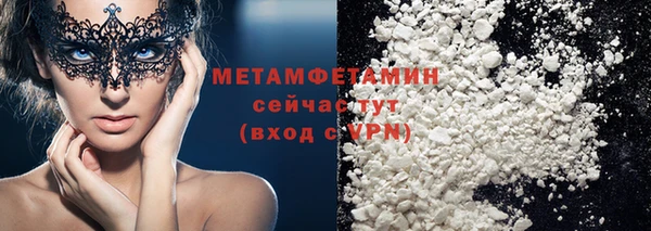 ГАЛЛЮЦИНОГЕННЫЕ ГРИБЫ Лагань