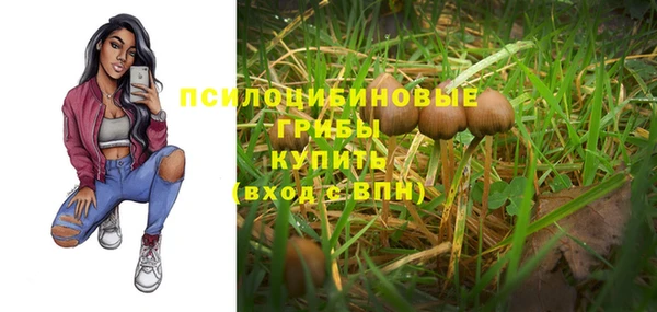 герыч Грязовец