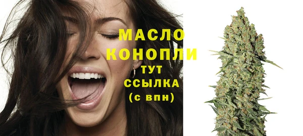 ГАЛЛЮЦИНОГЕННЫЕ ГРИБЫ Лагань