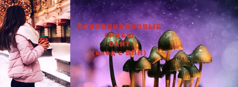 Галлюциногенные грибы MAGIC MUSHROOMS  Карачев 